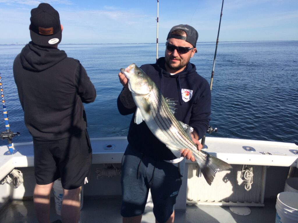 nice striped bass caught while fishing in Boston Harbor