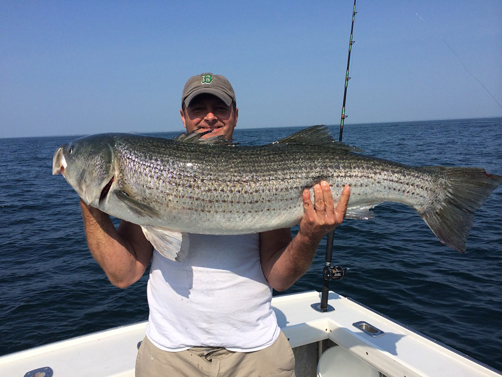 Huge bass hooked and landed in Boston Harbor